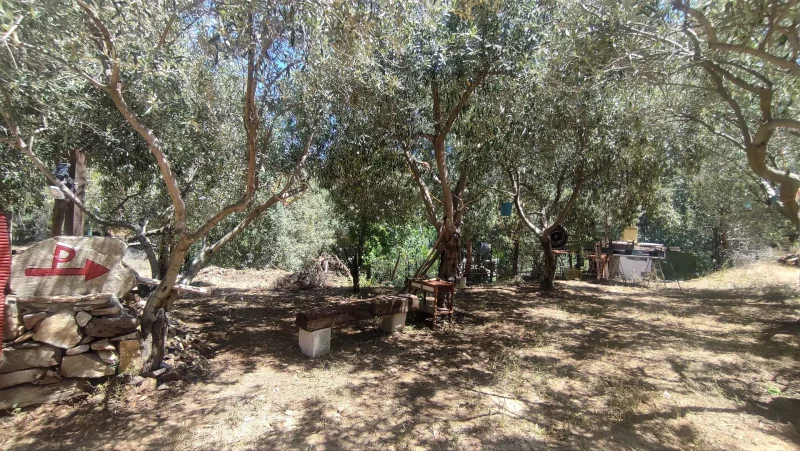 Real Estate Agency Sardinia