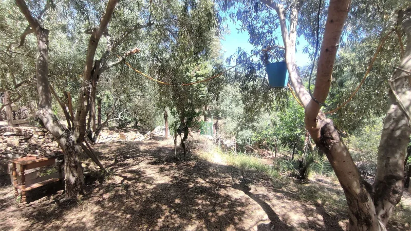 Real Estate Agency Sardinia