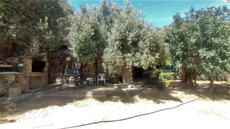 Real Estate Agency Sardinia