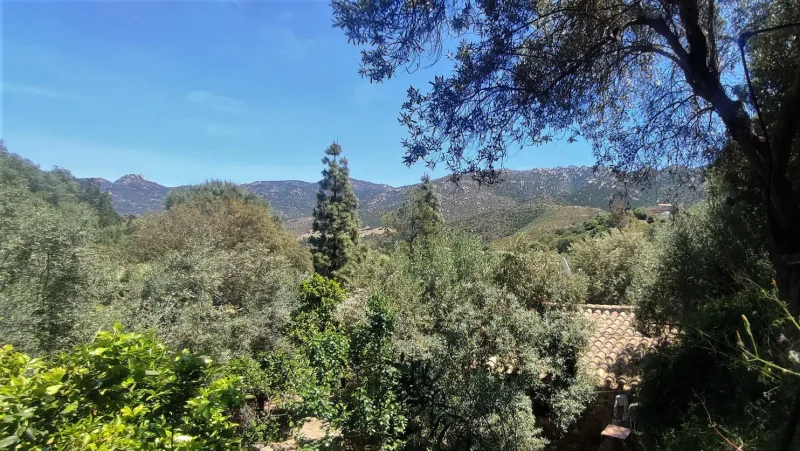 Real Estate Agency Sardinia