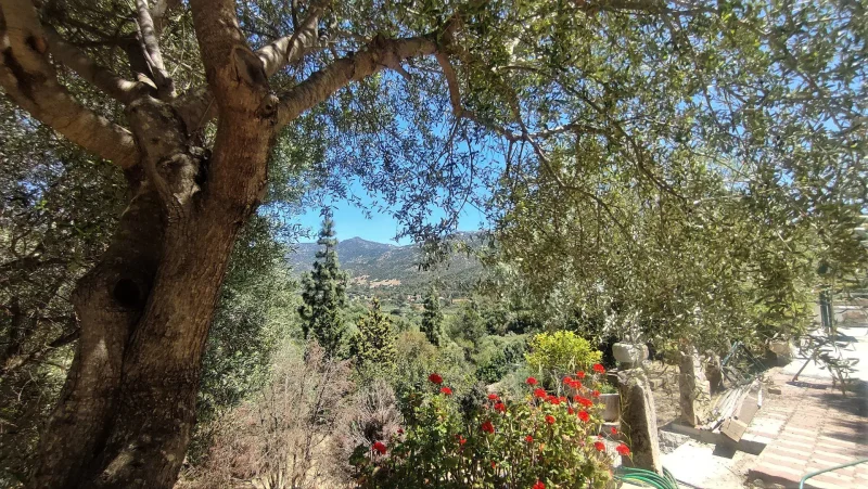 Real Estate Agency Sardinia