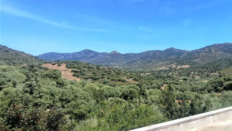 Real Estate Agency Sardinia