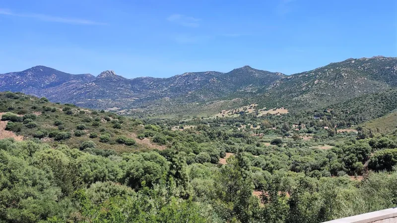 Real Estate Agency Sardinia