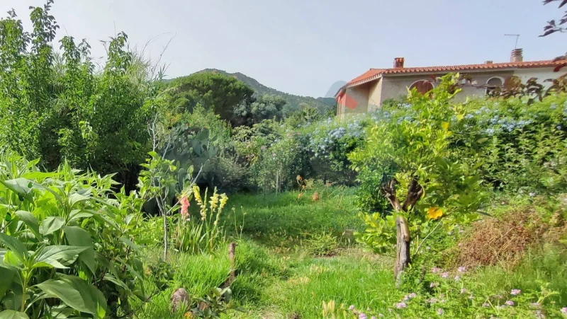 Agenzia Immobiliare Cagliari