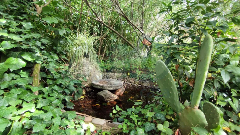 Agenzia Immobiliare Cagliari