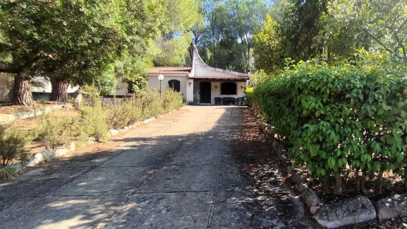 Real Estate Agency Sardinia