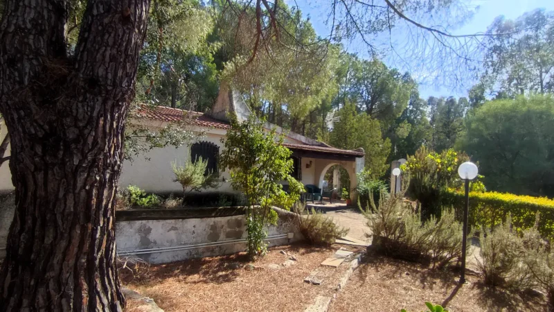 Real Estate Agency Sardinia