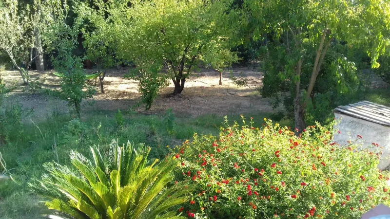 Agenzia Immobiliare Cagliari