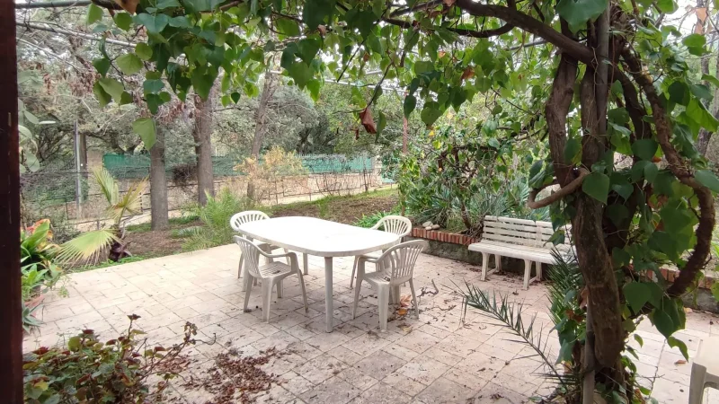 Real Estate Agency Sardinia
