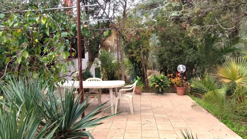Real Estate Agency Sardinia
