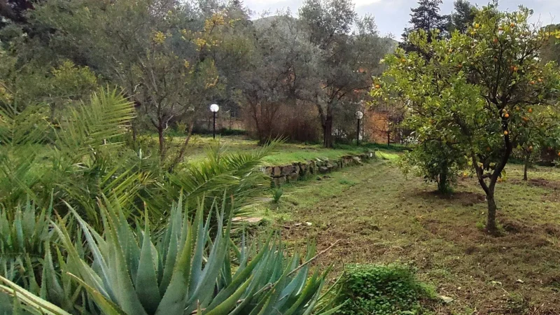 Real Estate Agency Sardinia