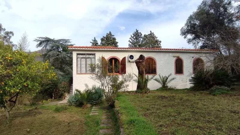 Real Estate Agency Sardinia