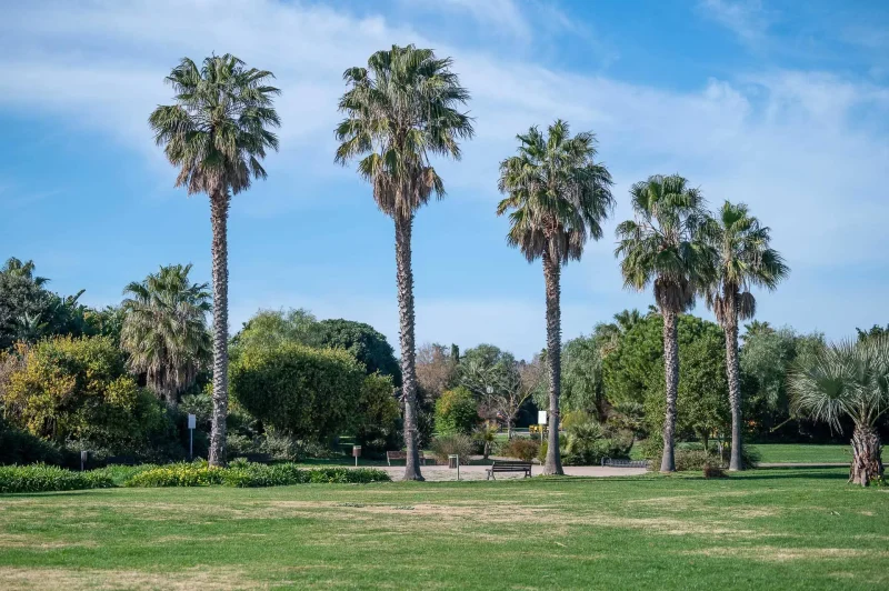 Real Estate Agency Sardinia