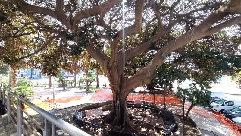 Agenzia Immobiliare Cagliari