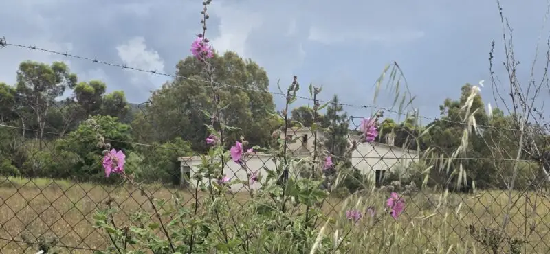 Real Estate Agency Sardinia