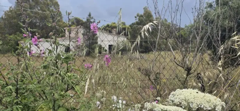 Real Estate Agency Sardinia