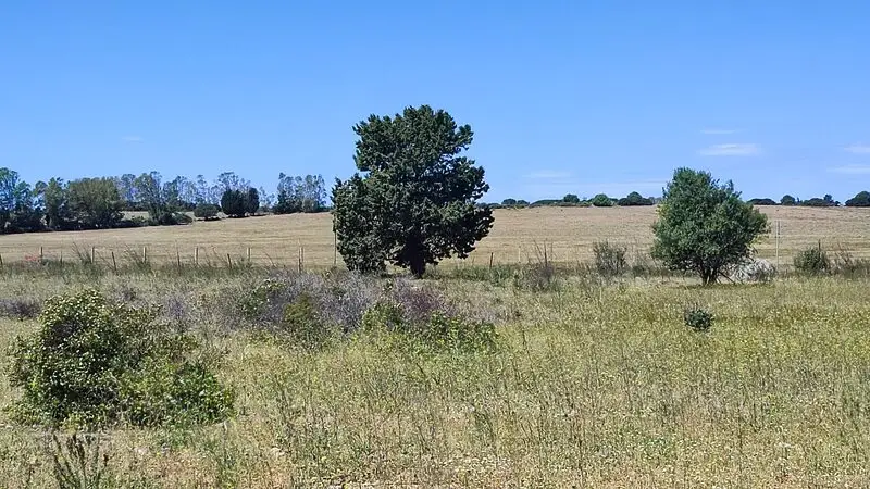 Agenzia Immobiliare Cagliari