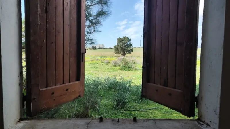 Real Estate Agency Sardinia