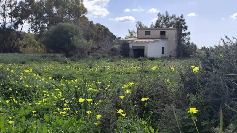 Real Estate Agency Sardinia