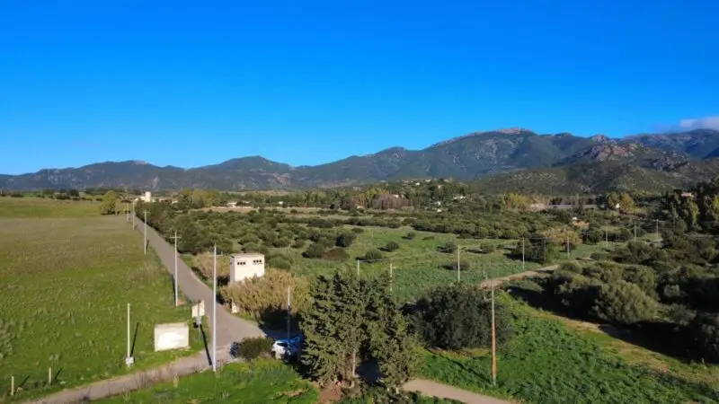 Real Estate Agency Sardinia