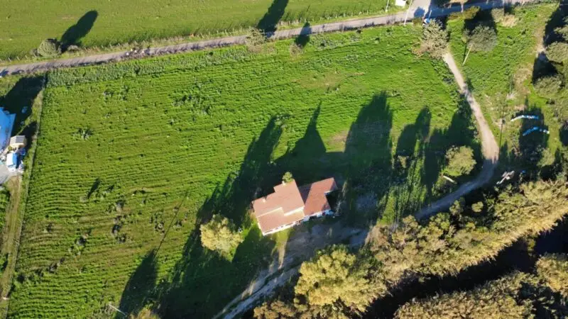 Real Estate Agency Sardinia