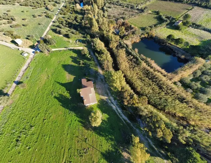 Real Estate Agency Sardinia