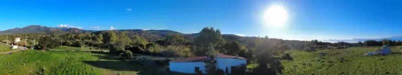 Real Estate Agency Sardinia