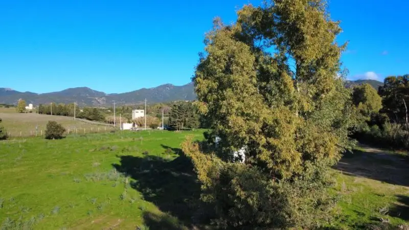 Real Estate Agency Sardinia