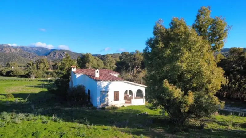 Real Estate Agency Sardinia