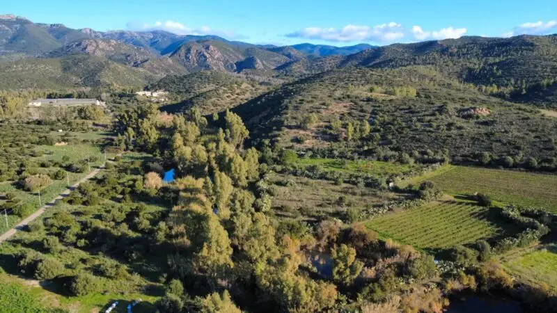 Real Estate Agency Sardinia