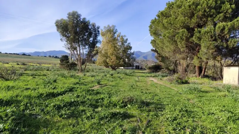 Agenzia Immobiliare Cagliari