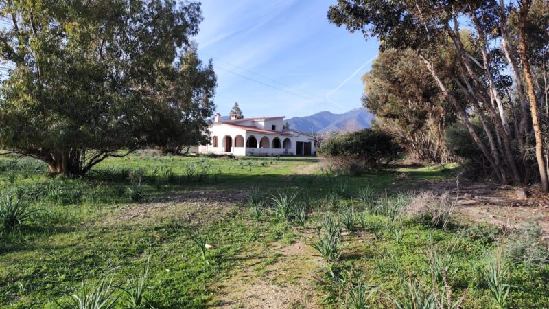 Real Estate Agency Sardinia