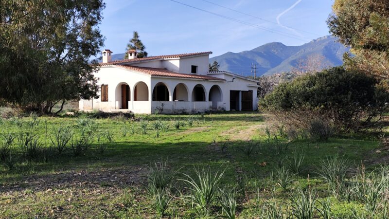 Real Estate Agency Sardinia