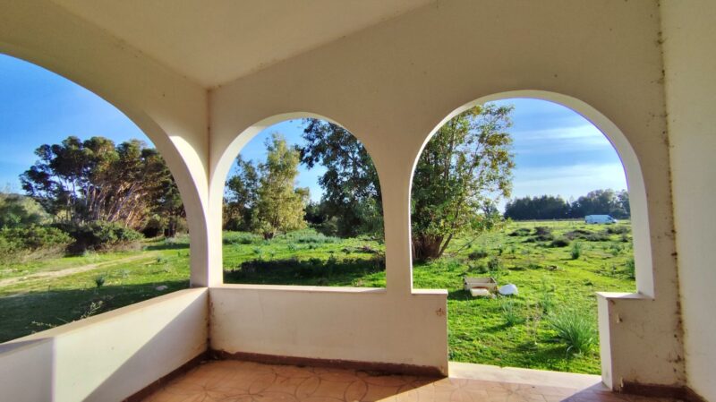 Real Estate Agency Sardinia