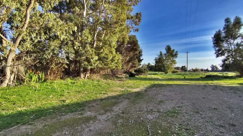 Agenzia Immobiliare Cagliari