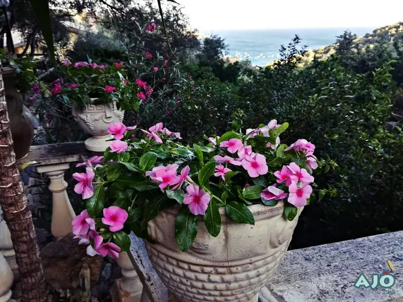 Agenzia Immobiliare Cagliari