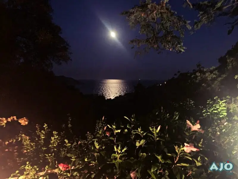 Agenzia Immobiliare Cagliari