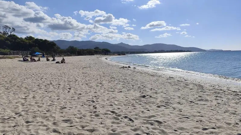 Real Estate Agency Sardinia