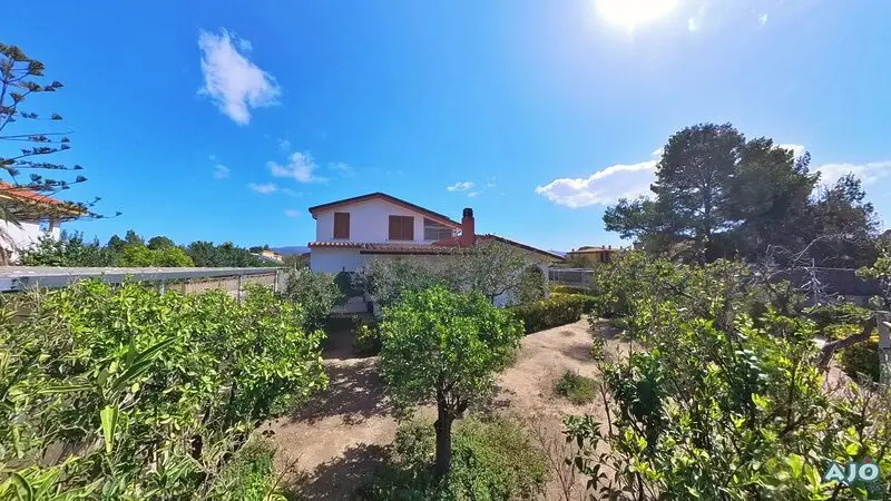 Real Estate Agency Sardinia