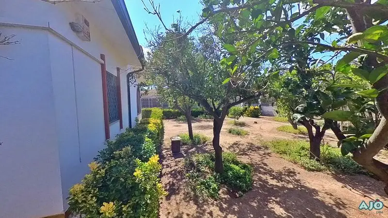 Real Estate Agency Sardinia