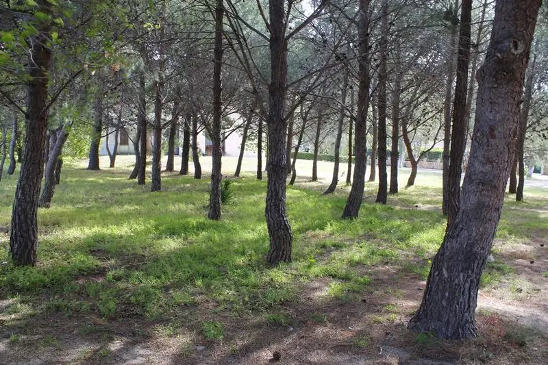 Real Estate Agency Sardinia