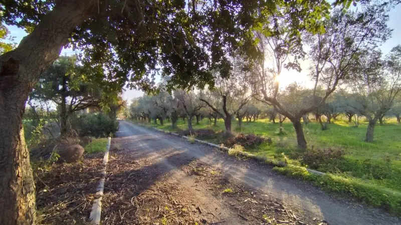 Real Estate Agency Sardinia
