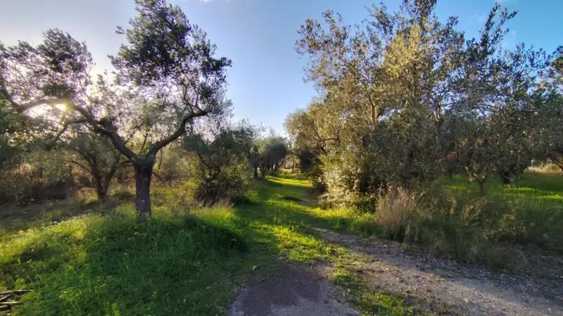 Real Estate Agency Sardinia