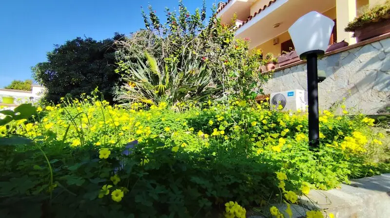 Real Estate Agency Sardinia