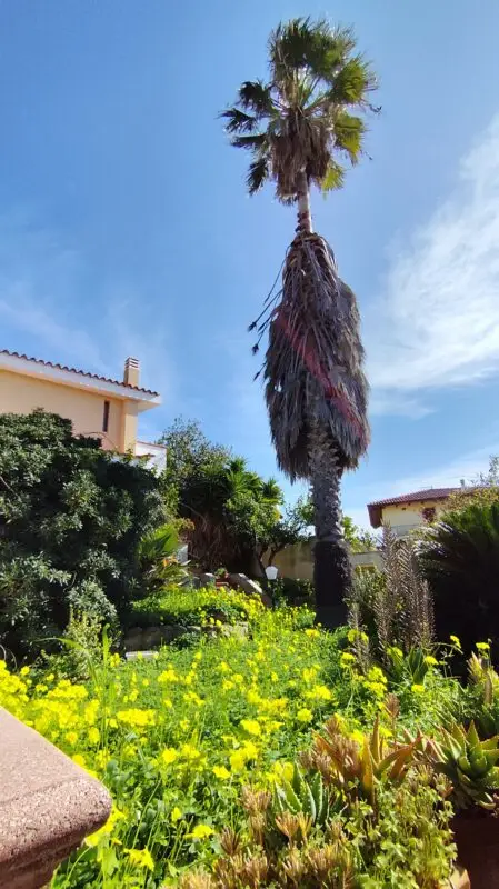 Real Estate Agency Sardinia