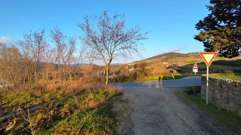 Real Estate Agency Sardinia