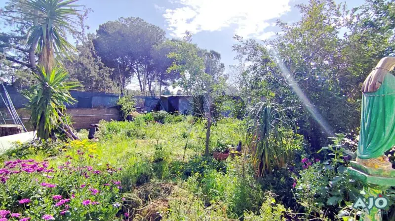 Agenzia Immobiliare Cagliari