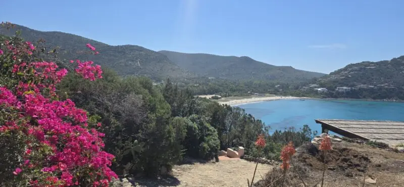 Real Estate Agency Sardinia