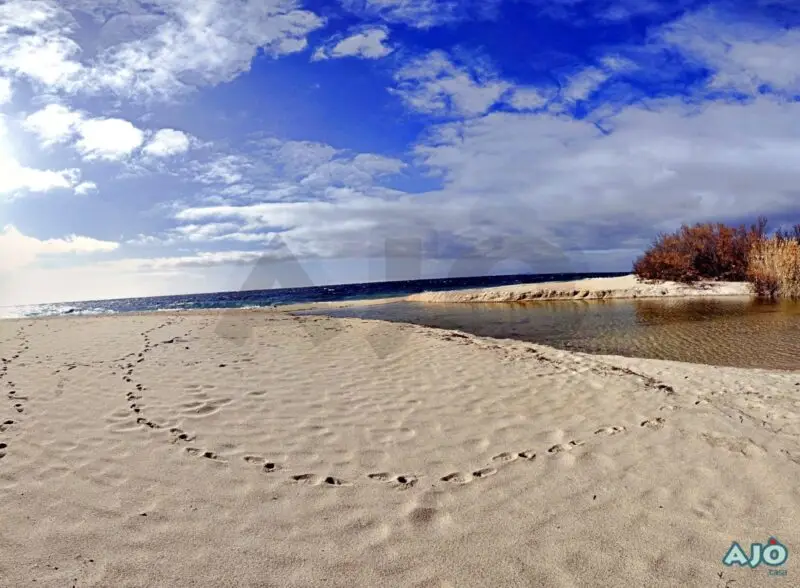 Agenzia Immobiliare Cagliari