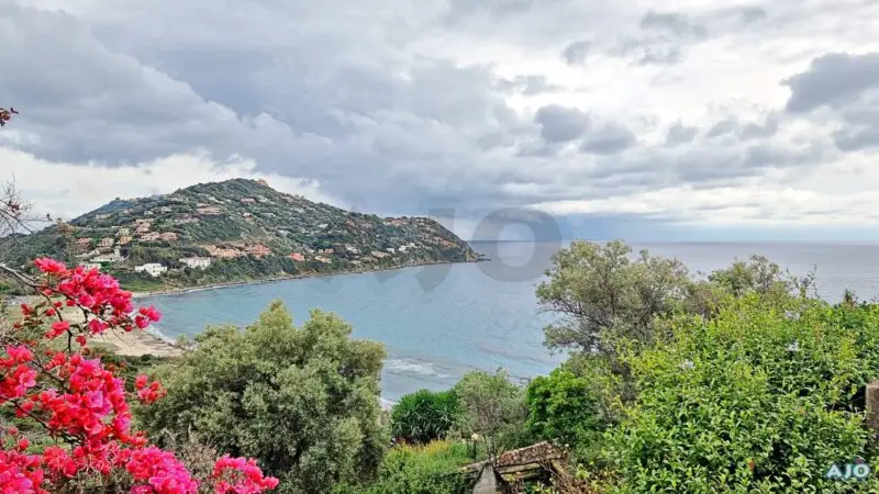 Real Estate Agency Sardinia